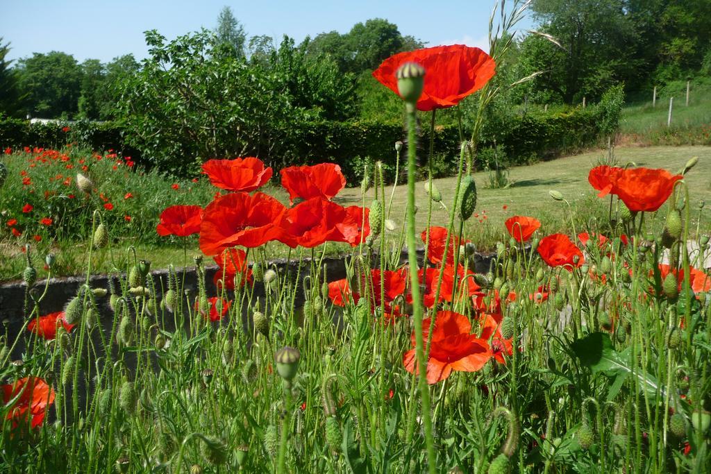 Maison D'Hotes Les Coquelicots จีแวร์นี ภายนอก รูปภาพ